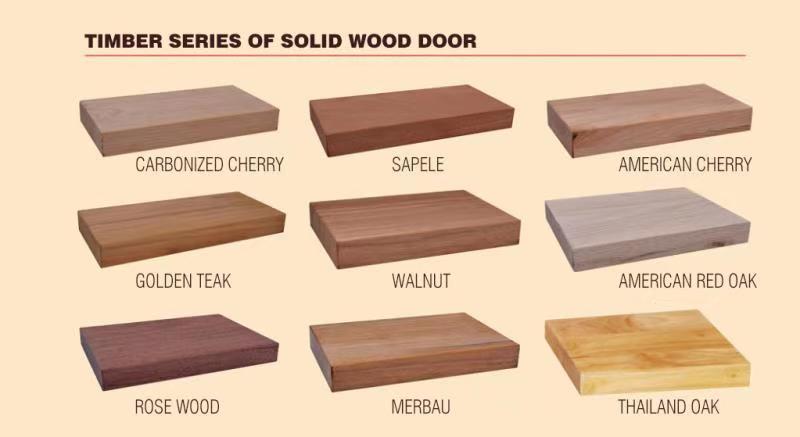 Modern Design French Entry Door Wooden And Steel Pivot Exterior Door With Door Frame For Hotel Room